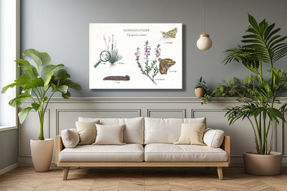 Wanddecoratie "Kommavlinder, het leven van"