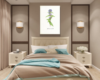 Wanddecoratie "Kruisbladgentiaan"