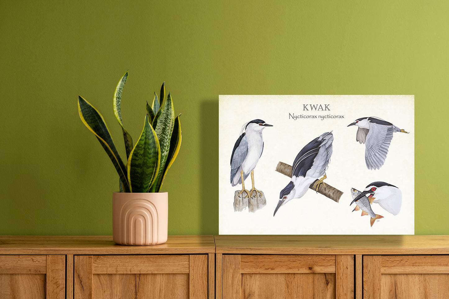 Wanddecoratie "Kwak, het leven van"