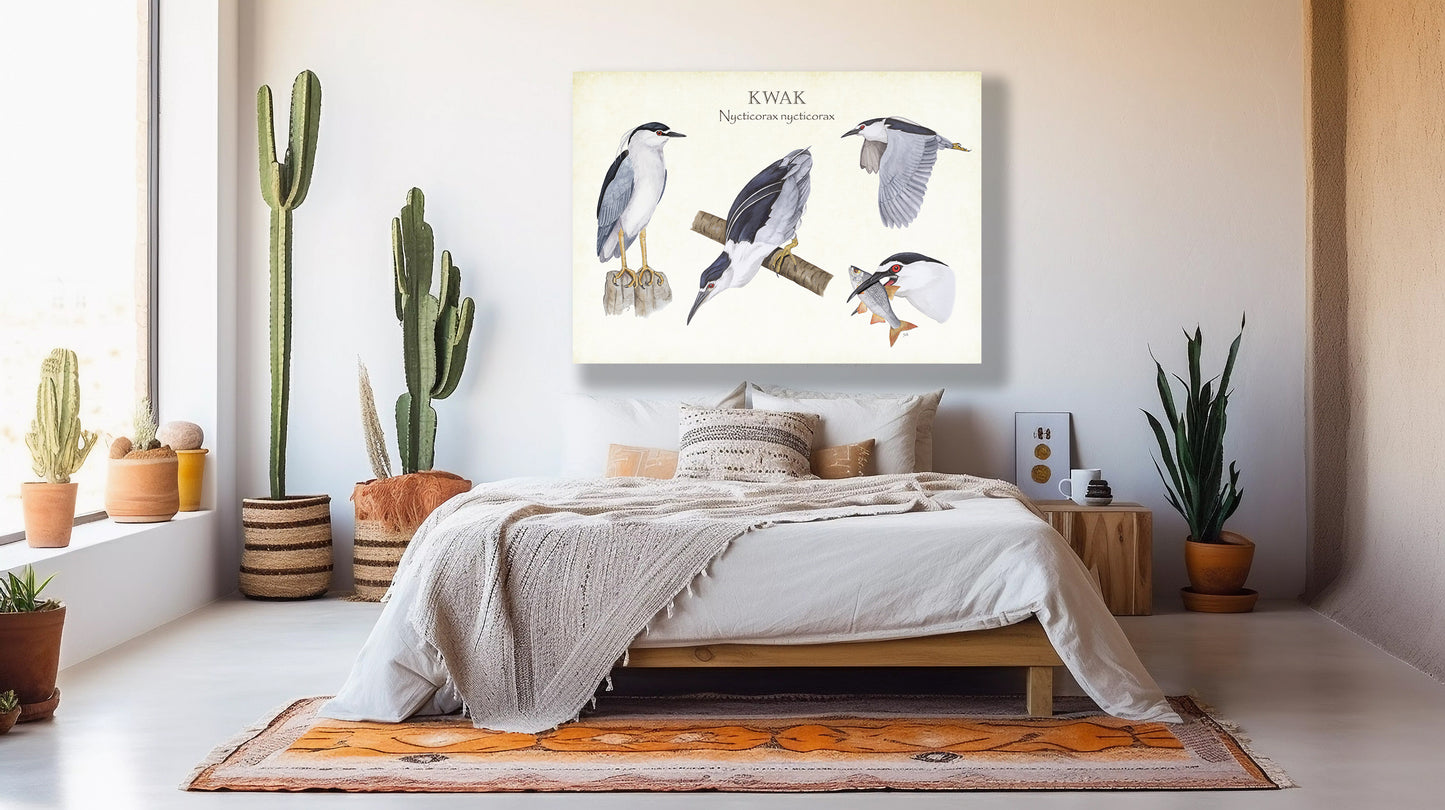 Wanddecoratie "Kwak, het leven van"