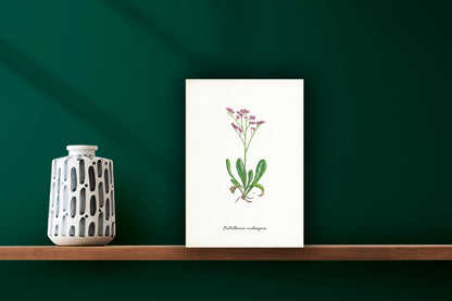 Wanddecoratie "Lamsoor"