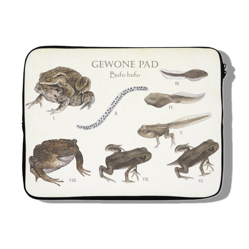 Laptophoes "Gewone pad | Levenscyclus van ei tot pad"