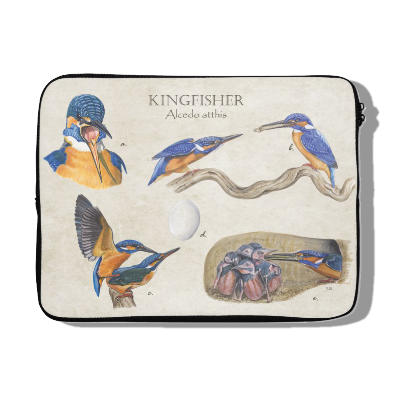 Laptophoes "Kingfisher"