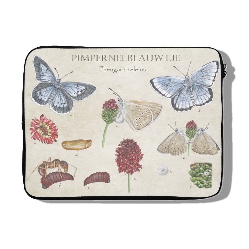 Laptophoes "Pimpernelblauwtje, het leven van"