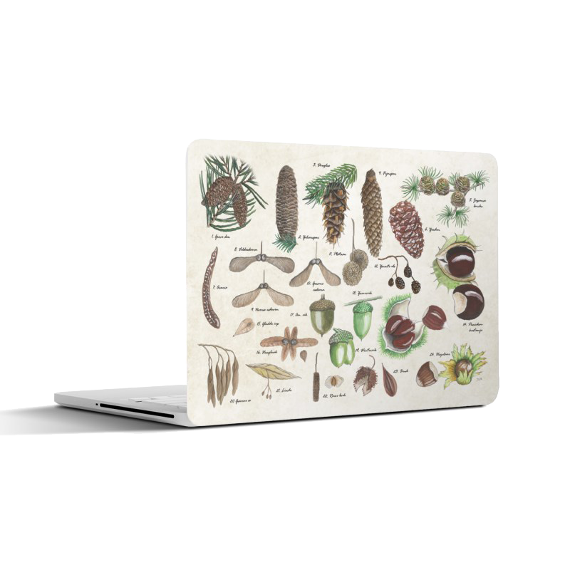 Laptopsticker "Noten en zaden"