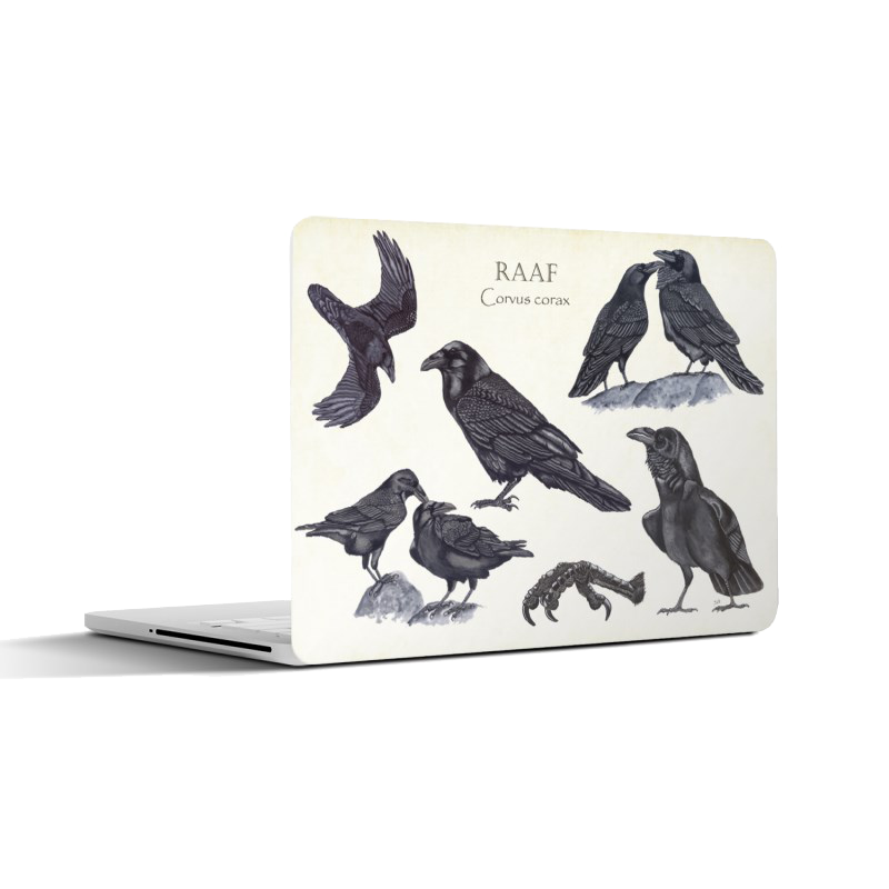 Laptopsticker "Raaf, het leven van"