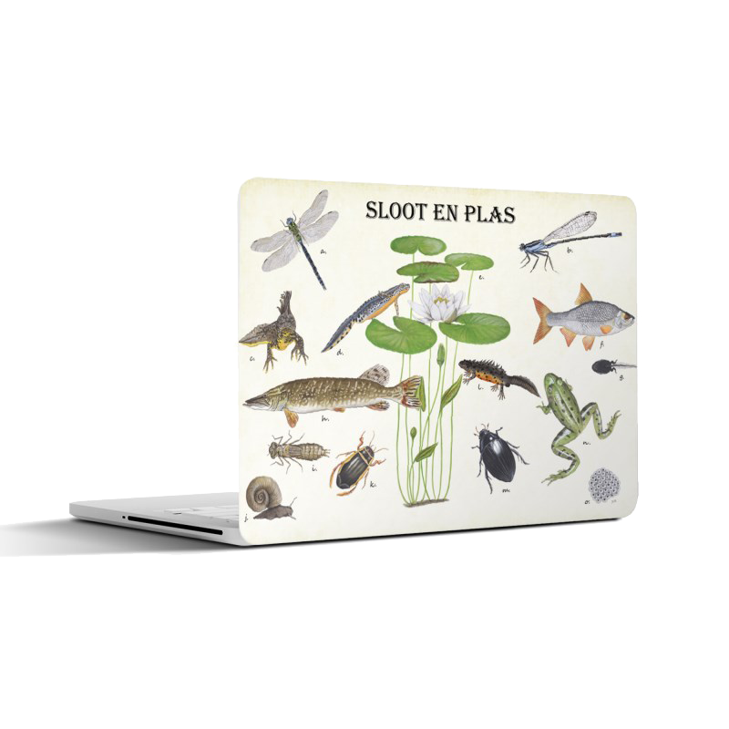 Laptopsticker "Sloot en plas"