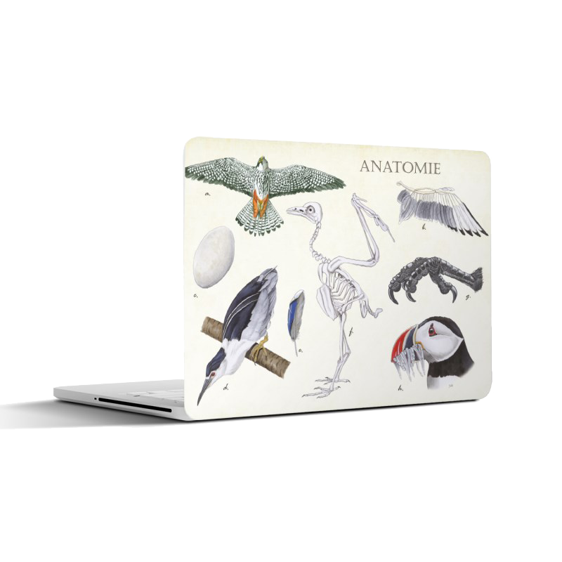 Laptopsticker "Anatomie Birds"