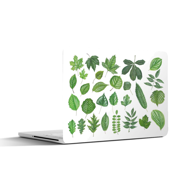 Laptopsticker "Collage van bladeren"