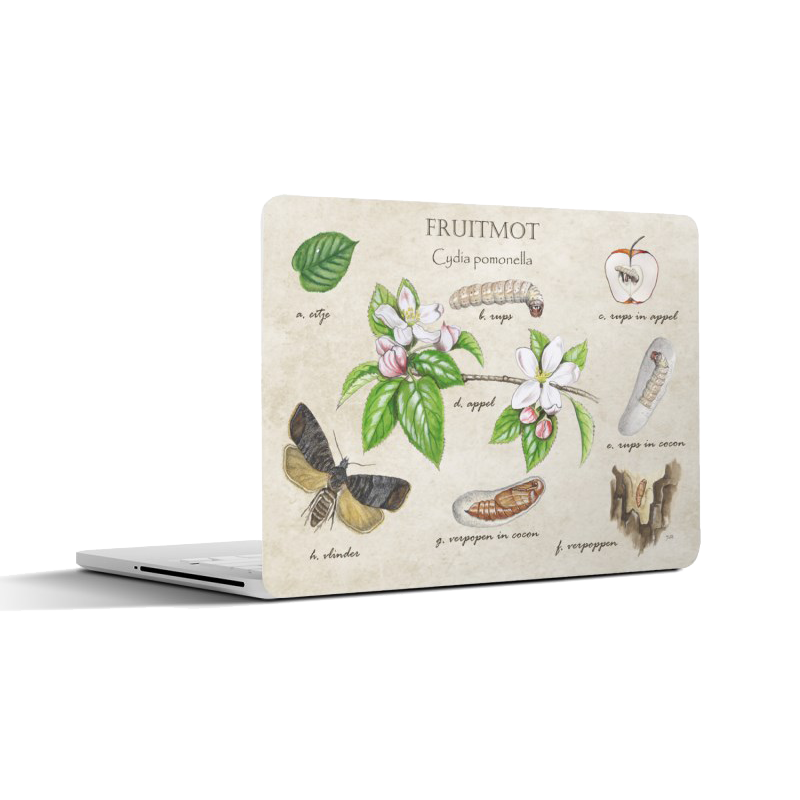 Laptopsticker "Fruitmot, het leven van"