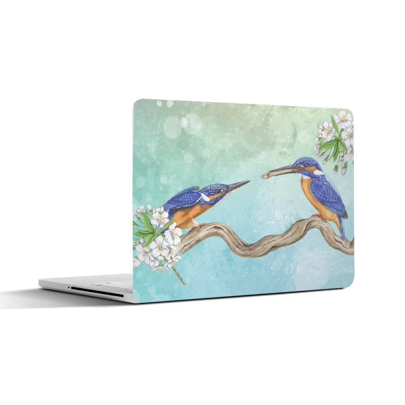 Laptopsticker "IJsvogels in het voorjaar"