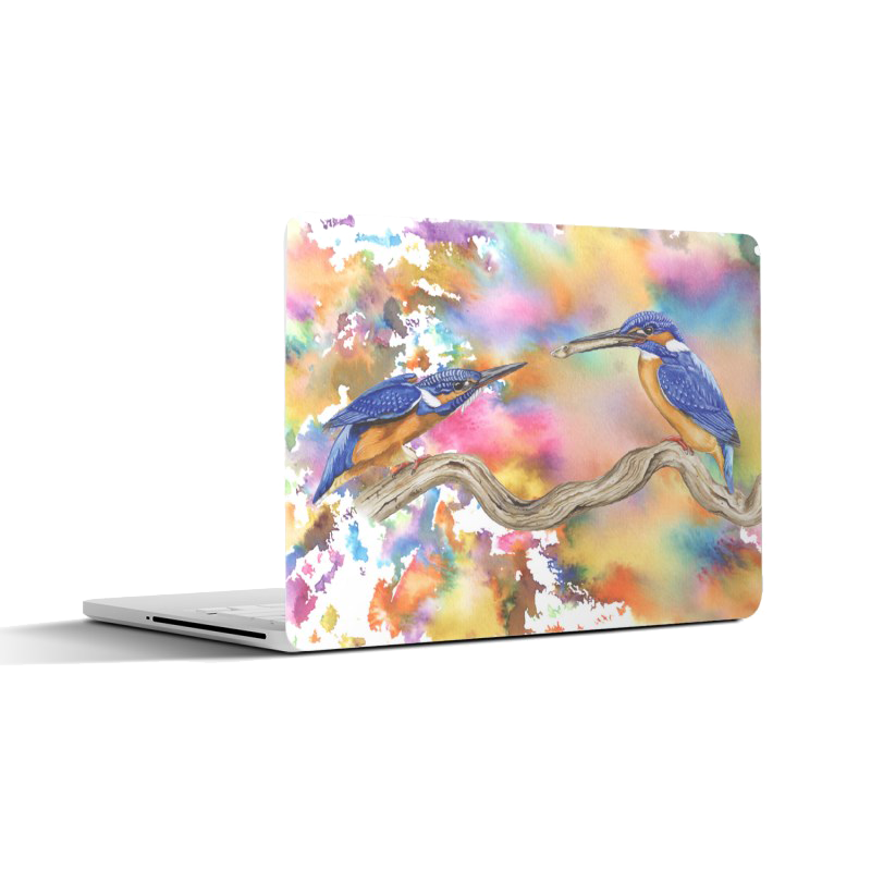 Laptopsticker "IJsvogels | Een explosie van kleur"