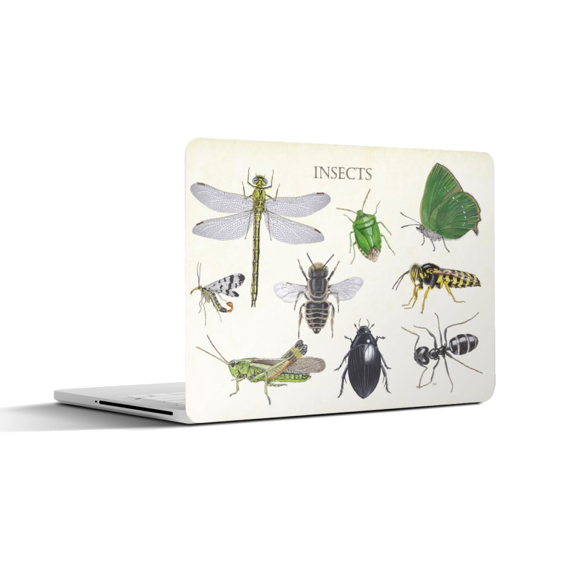 Laptopsticker "Insects"