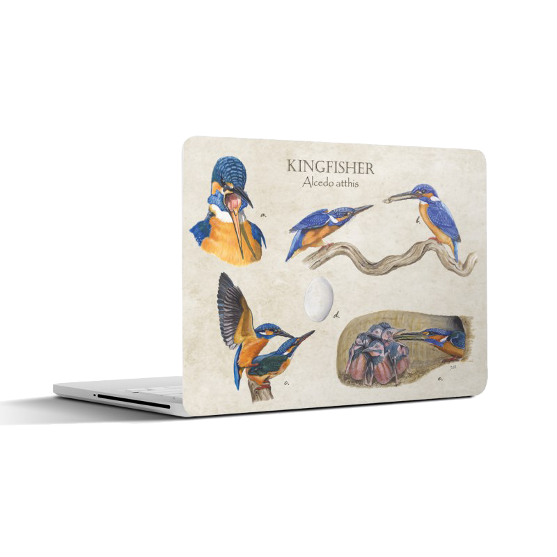 Laptopsticker "Kingfisher"