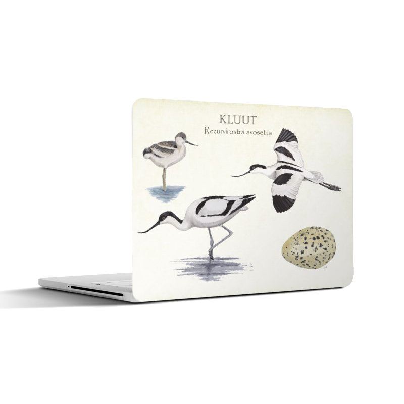 Laptopsticker "Kluut, het leven van"