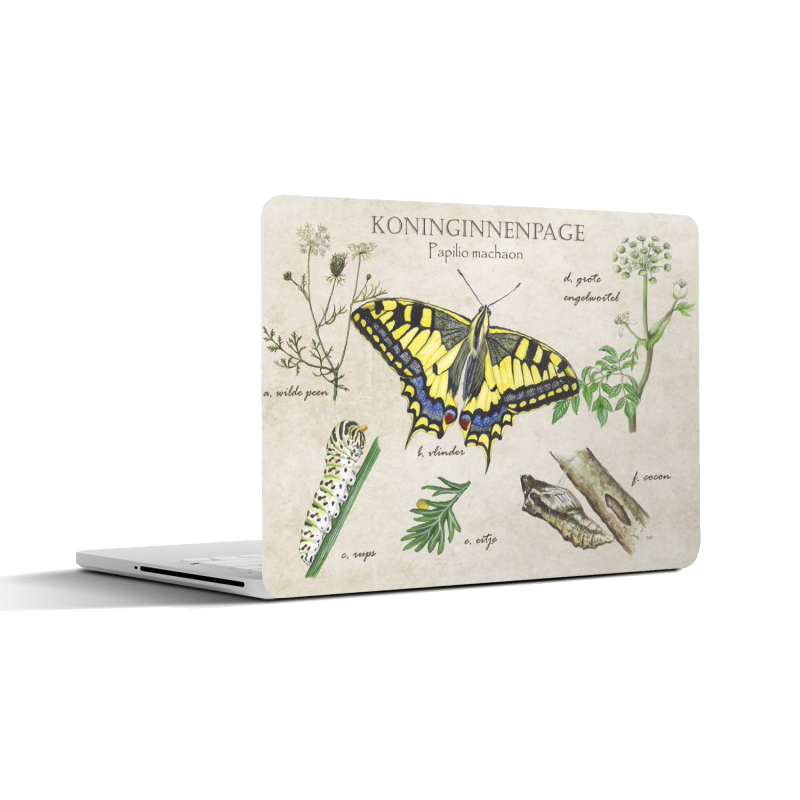 Laptopsticker "Koninginnenpage, het leven van"