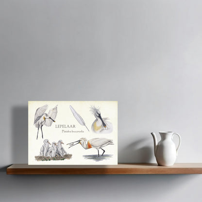 Wanddecoratie "Lepelaar, het leven van"