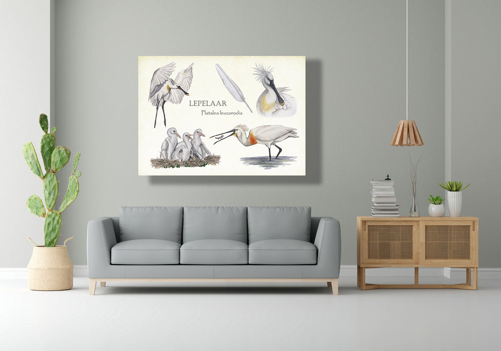Wanddecoratie "Lepelaar, het leven van"