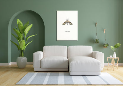 Wanddecoratie "Lindepijlstaart"