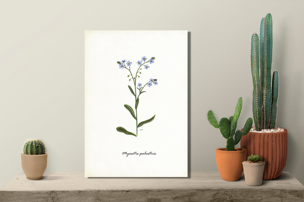Wanddecoratie "Moerasvergeet-mij-nietje"