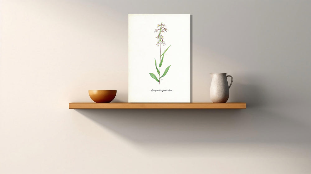Wanddecoratie "Moeraswespenorchis"