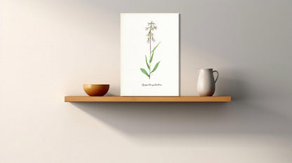 Wanddecoratie "Moeraswespenorchis"