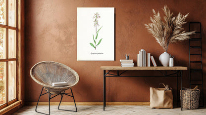 Wanddecoratie "Moeraswespenorchis"