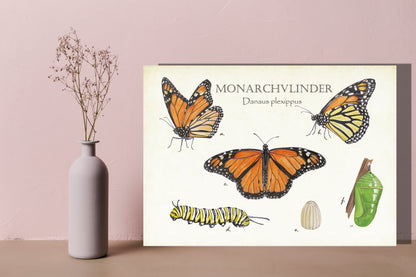 Wanddecoratie "Monarchvlinder, het leven van"