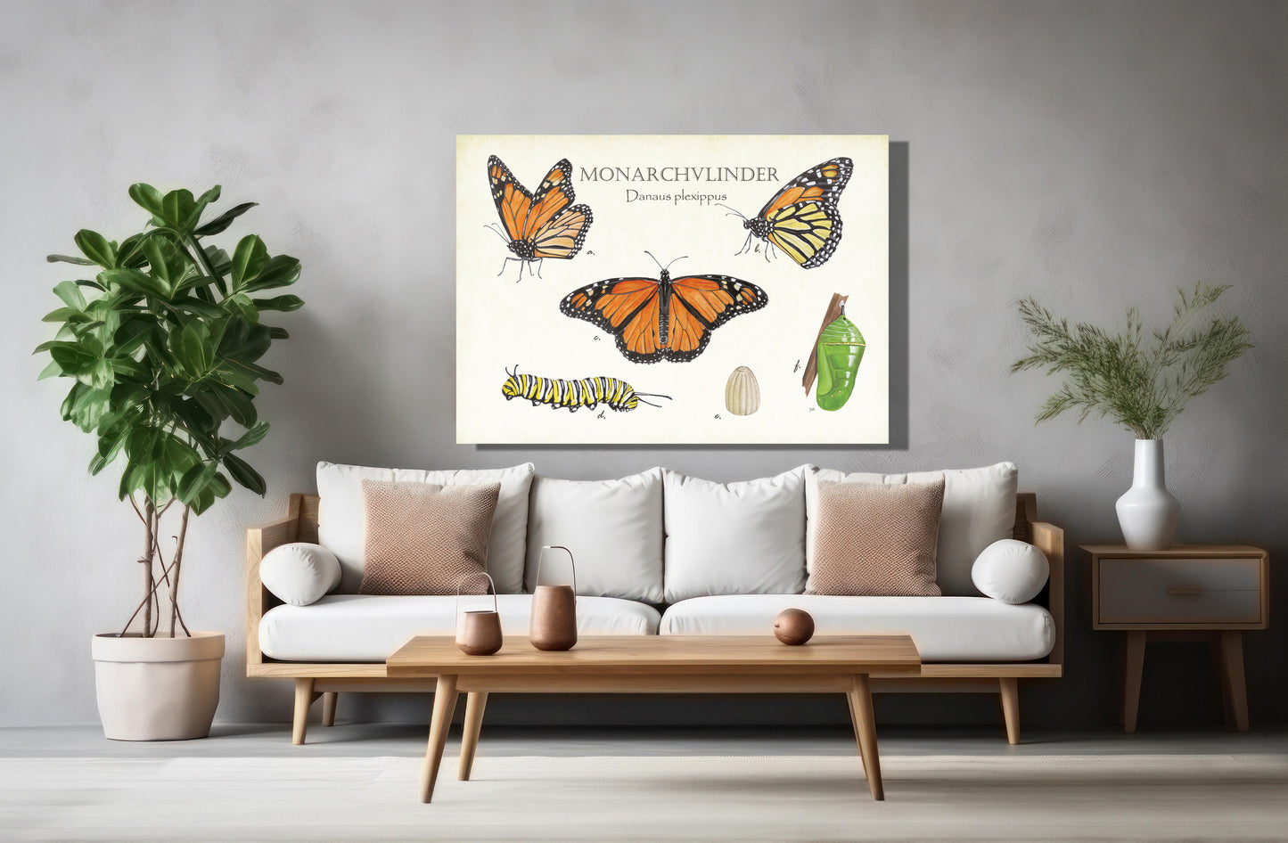 Wanddecoratie "Monarchvlinder, het leven van"