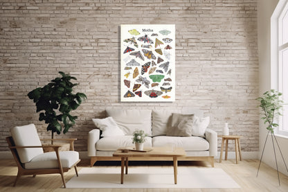 Wanddecoratie "Moths"