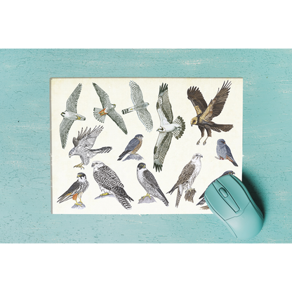 Muismat "Roofvogels"