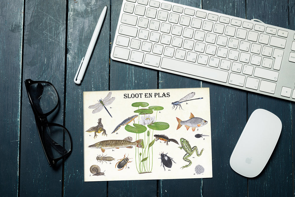 Muismat "Sloot en plas"