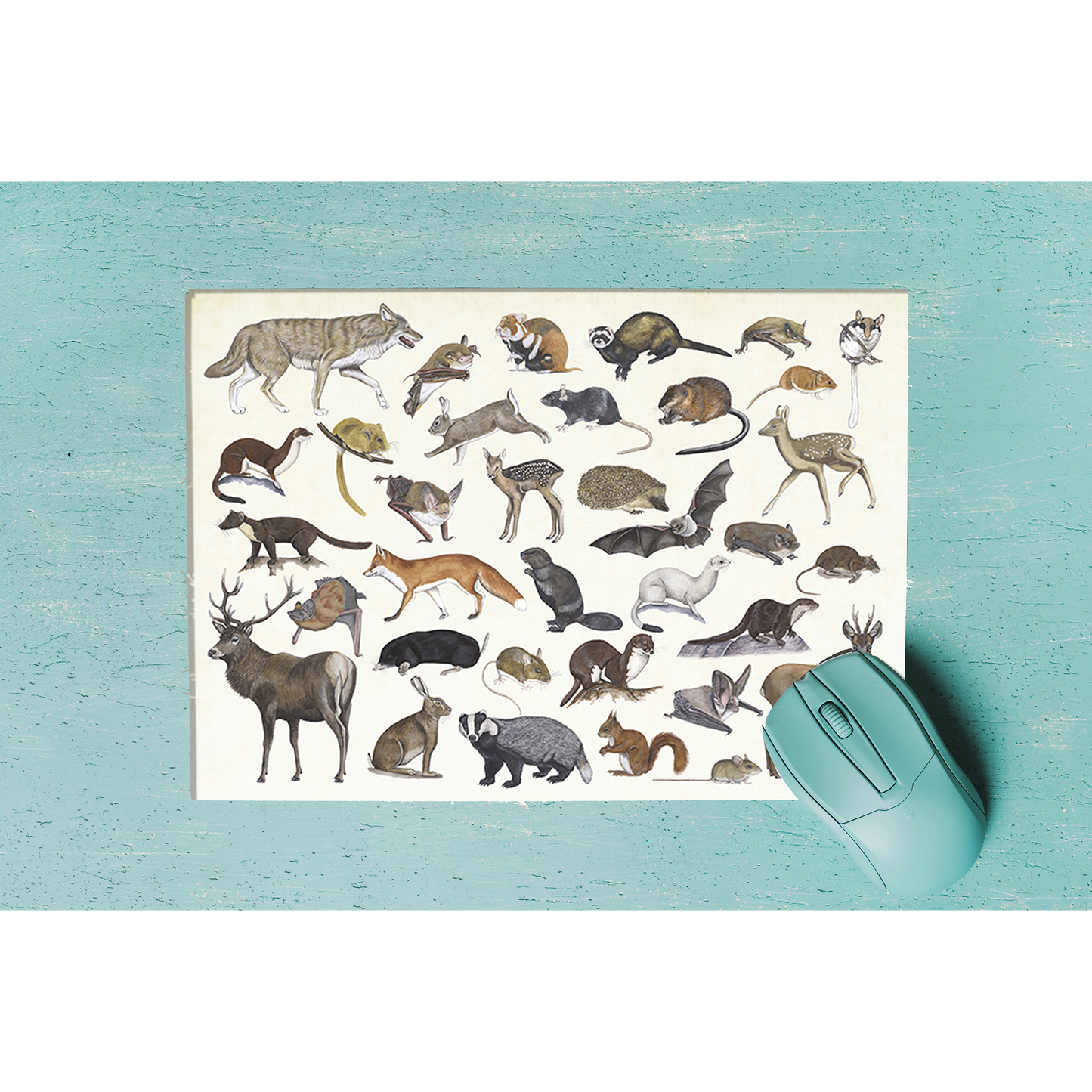 Muismat "Zoogdieren"