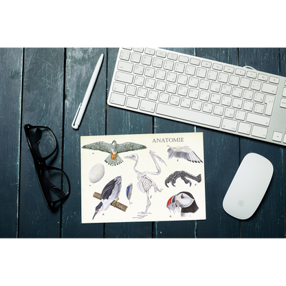 Muismat "Anatomie Birds"