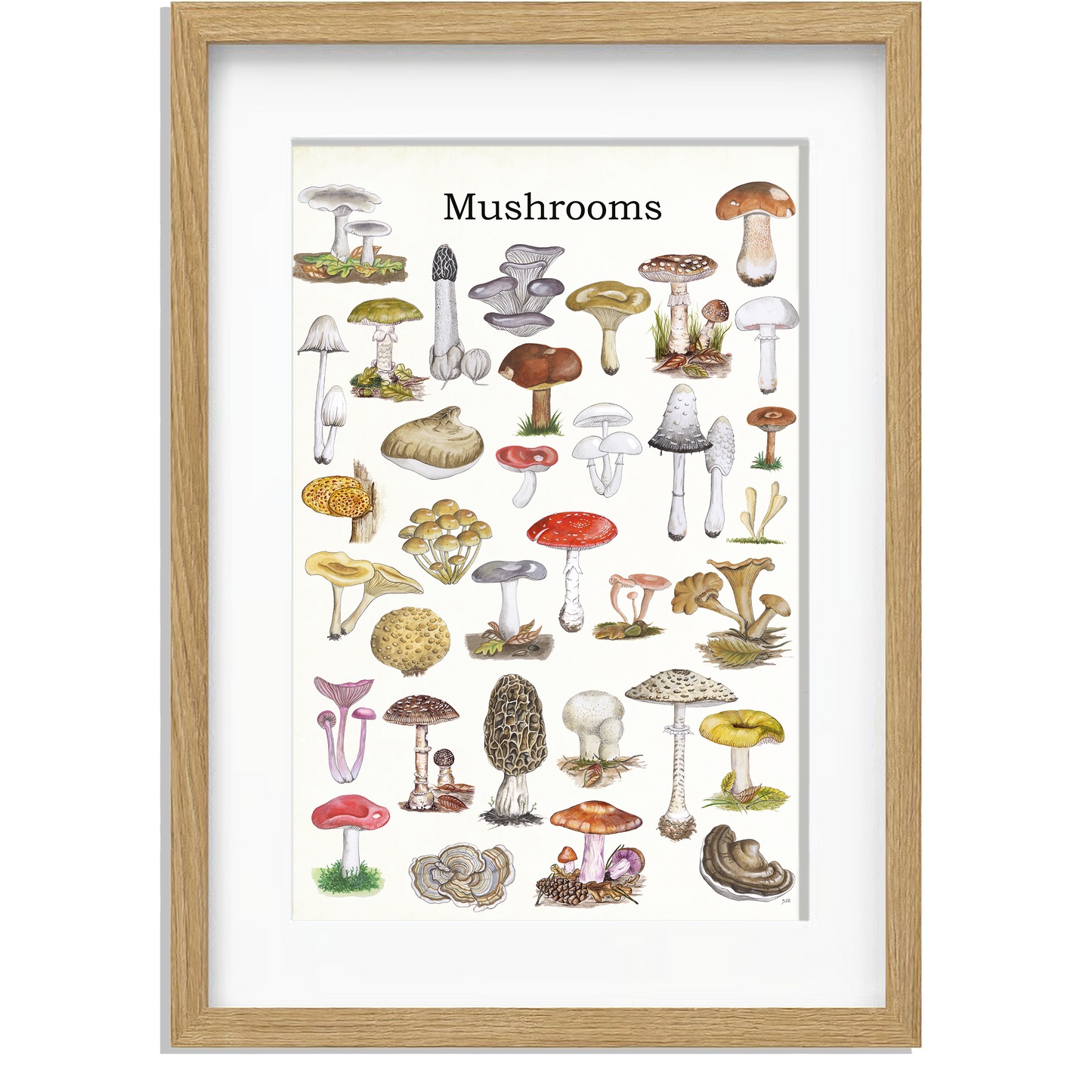 Ingelijst "Mushrooms"