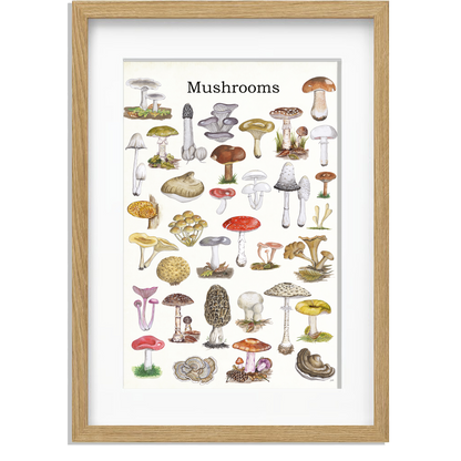 Ingelijst "Mushrooms"