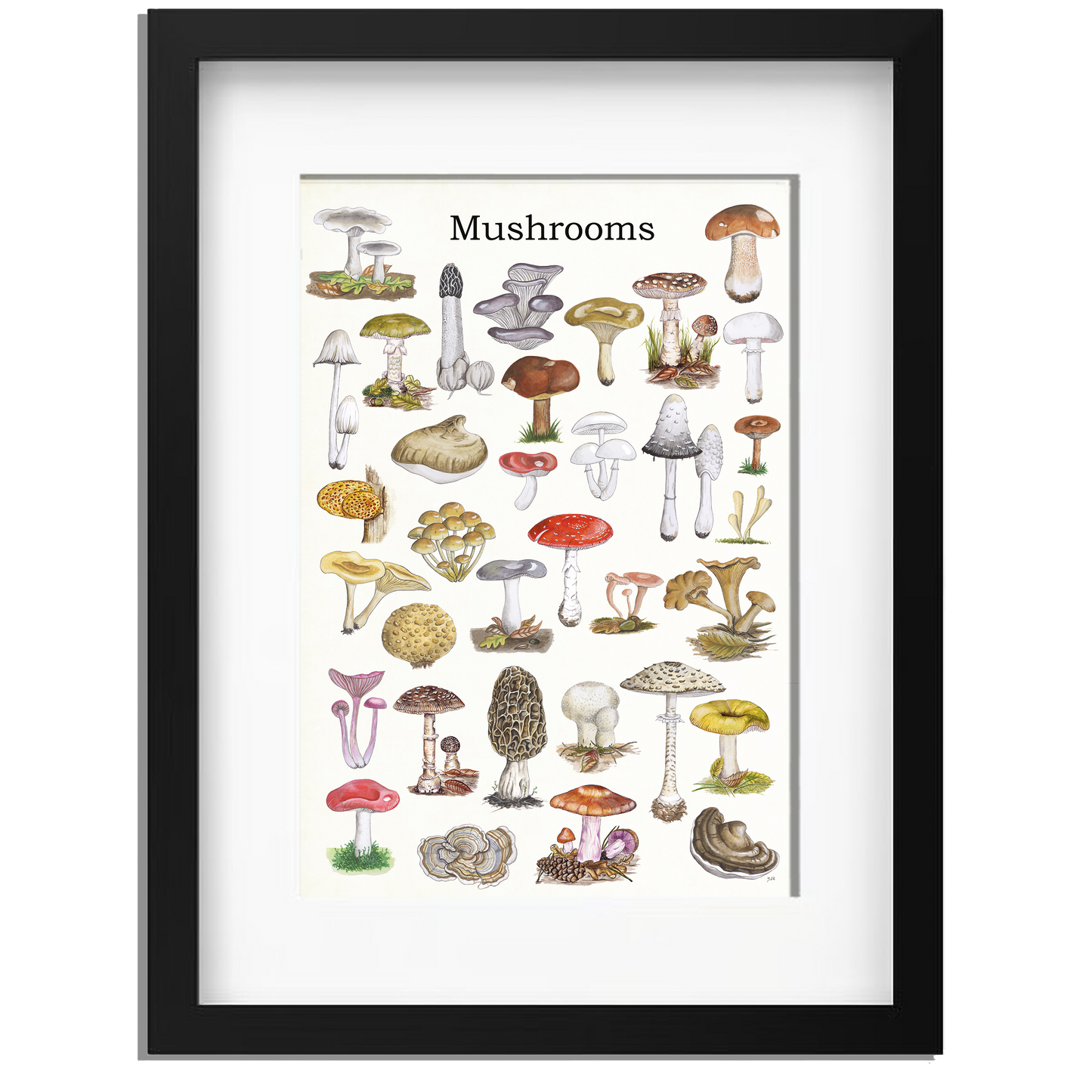 Ingelijst "Mushrooms"