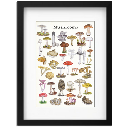 Ingelijst "Mushrooms"