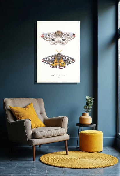 Wanddecoratie "Nachtpauwogen"