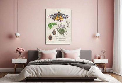 Wanddecoratie "Nachtpauwoog, het leven van"