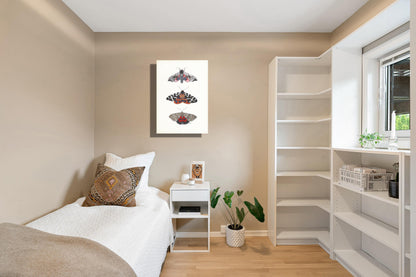 Wanddecoratie "Nachtvlinders met grote beer"