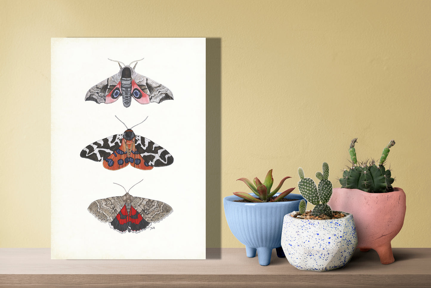 Wanddecoratie "Nachtvlinders met grote beer"