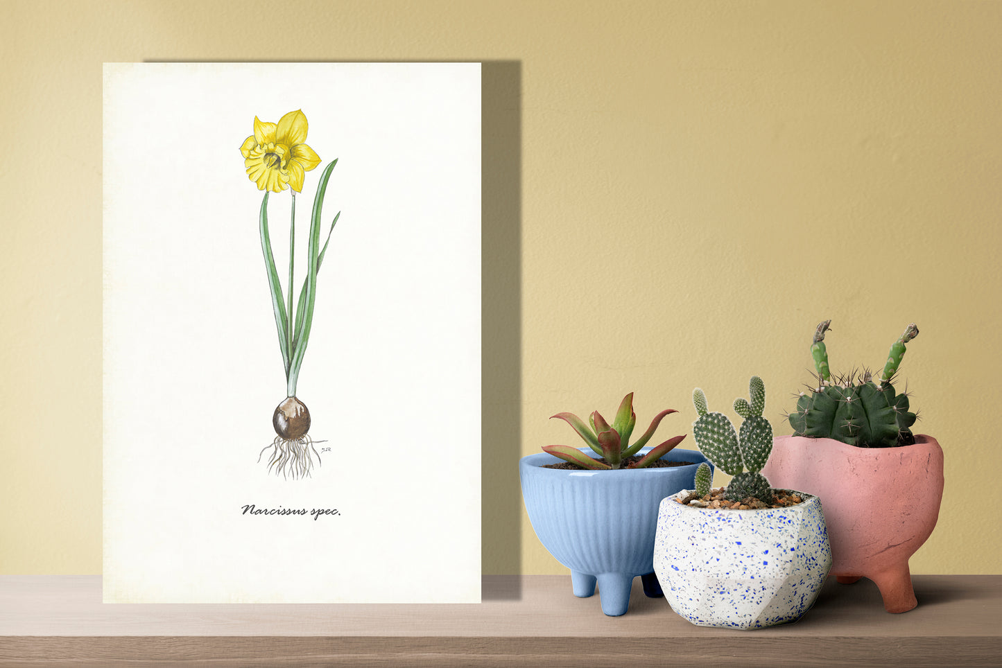 Wanddecoratie "Narcis"