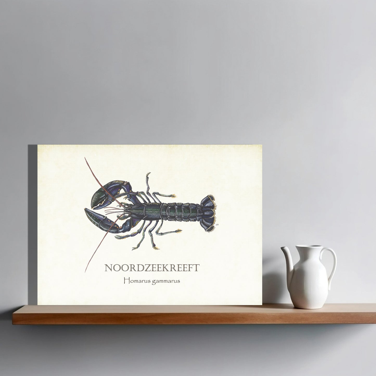 Wanddecoratie "Noordzeekreeft"