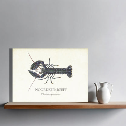 Wanddecoratie "Noordzeekreeft"