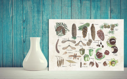 Wanddecoratie "Noten en zaden"