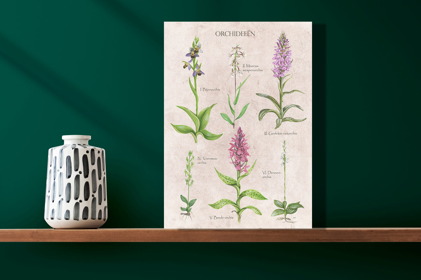 Wanddecoratie "Orchideeën"