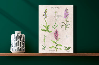 Wanddecoratie "Orchideeën"