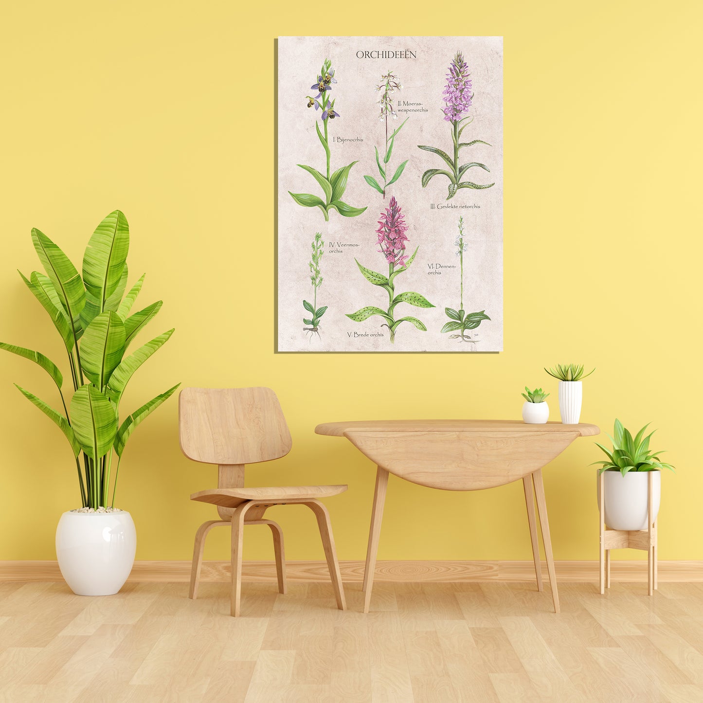 Wanddecoratie "Orchideeën"