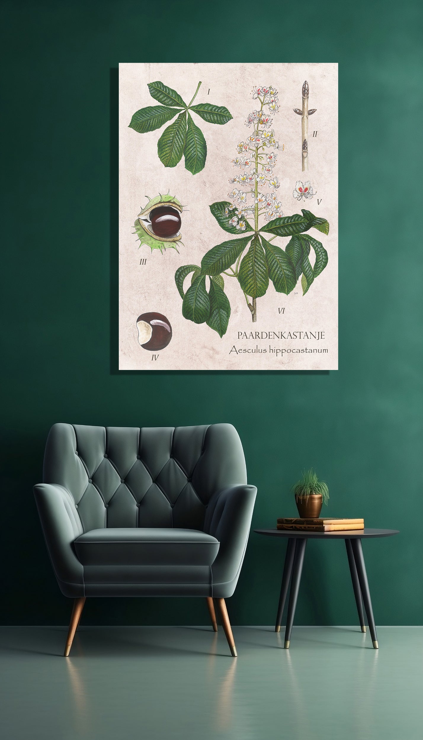 Wanddecoratie "Paardenkastanje, het leven van"